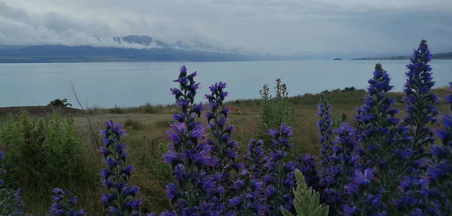 Lake Pukaki